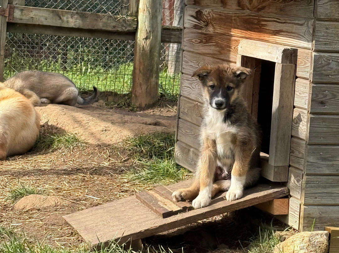 Ilonka Farm & Cafe-伊瓦洛必去景点