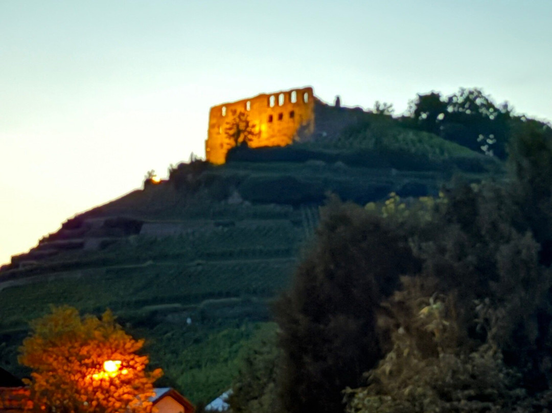 Gästehaus Kaltenbach主图