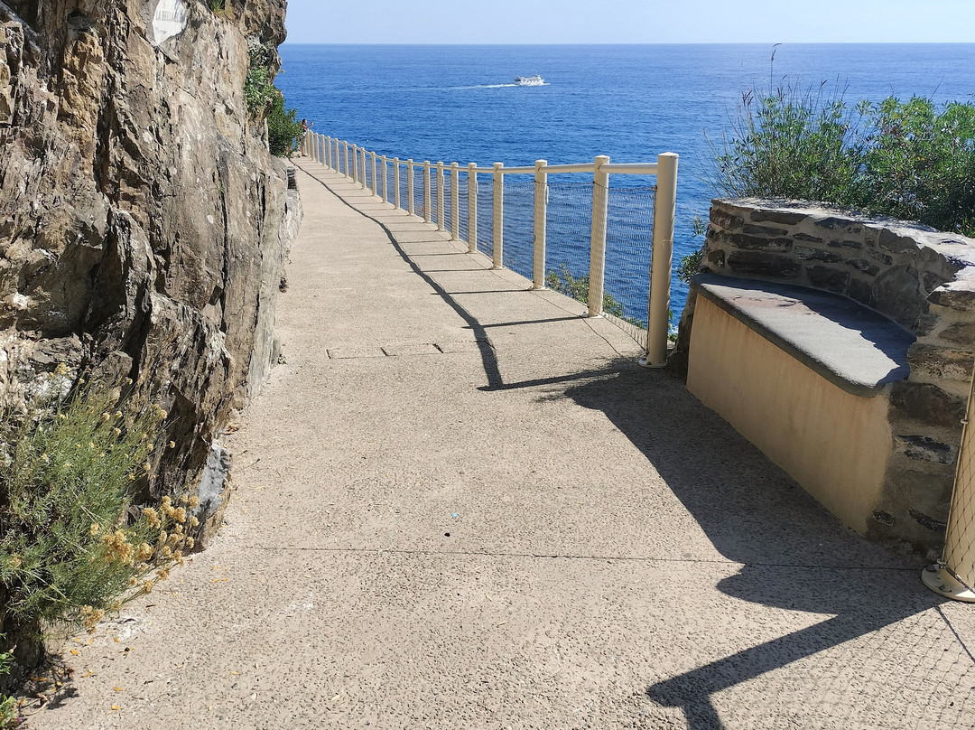 Via dell'Amore-里奥马焦雷必去景点