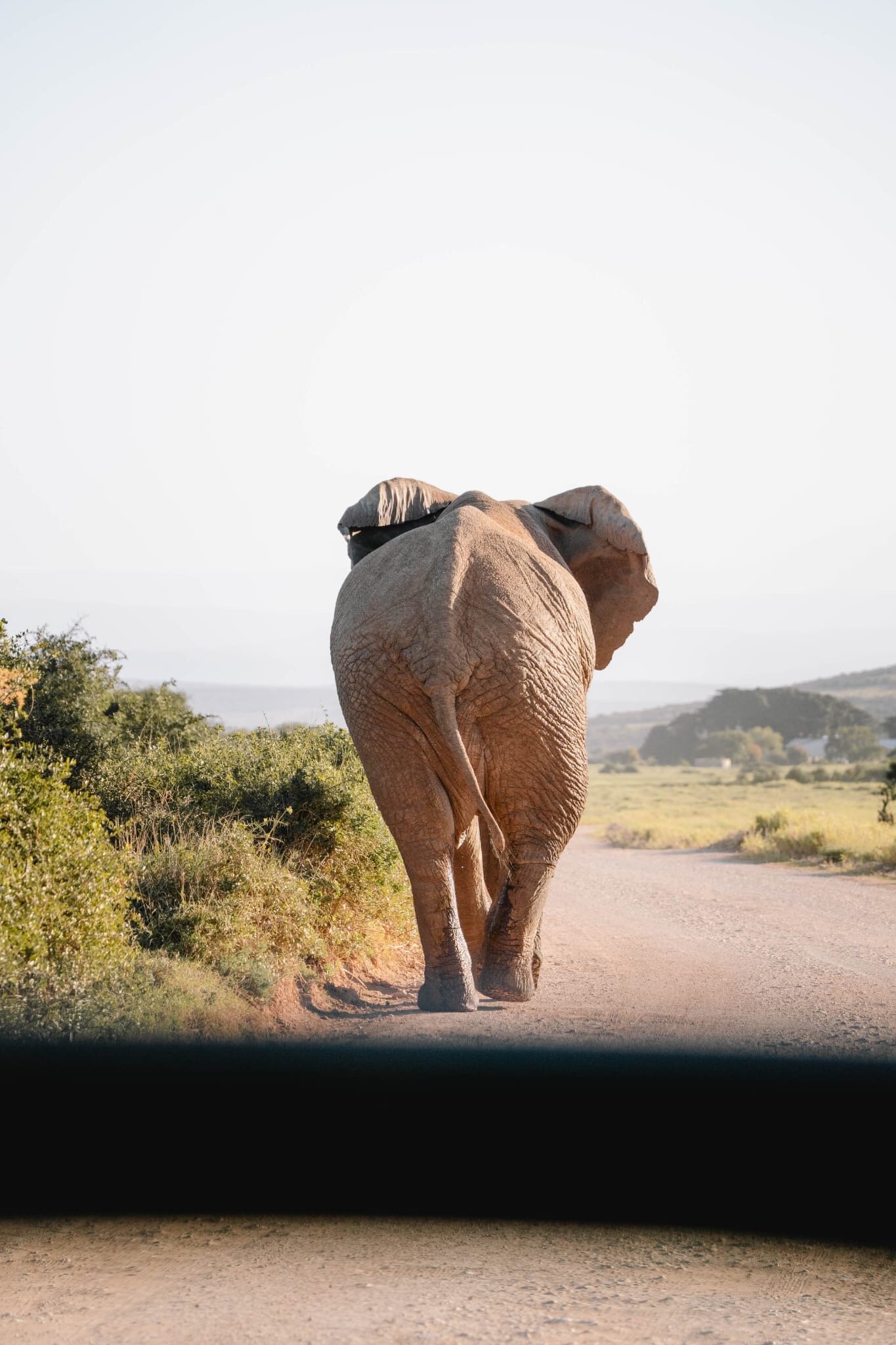 Happy Jackal Guest House-官方