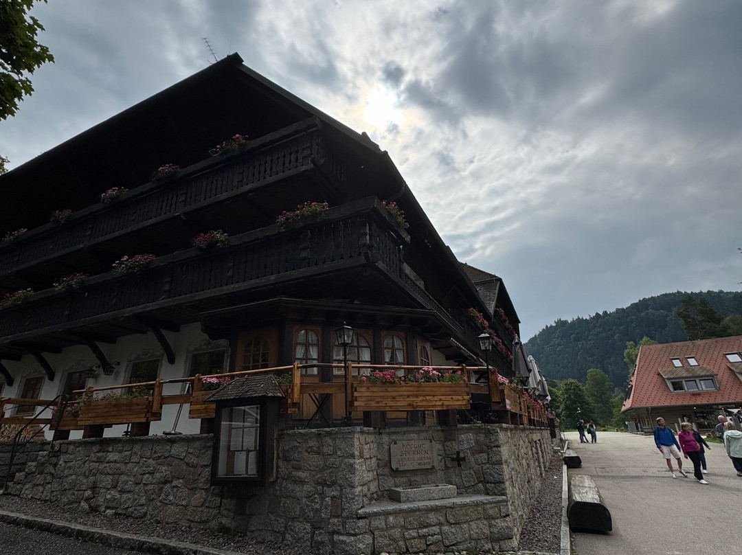 Hofgut Sternen Shop Black Forest Village-Breitnau必去景点