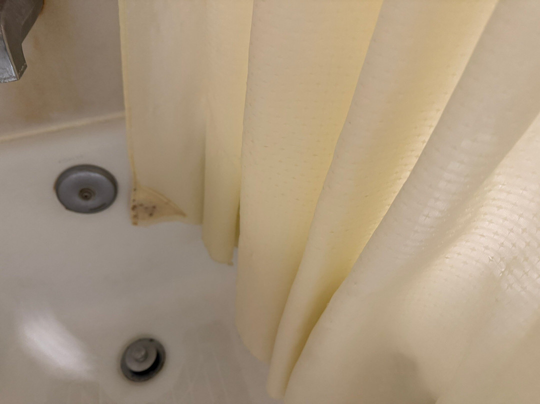 优胜美地奥克赫斯特戴斯酒店主图