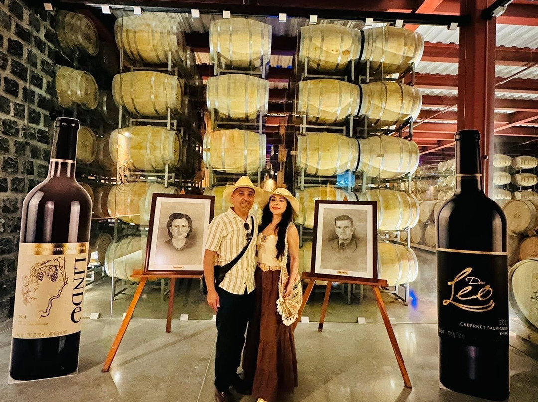 Vinedos Don Leo-Parras de la Fuente必去景点