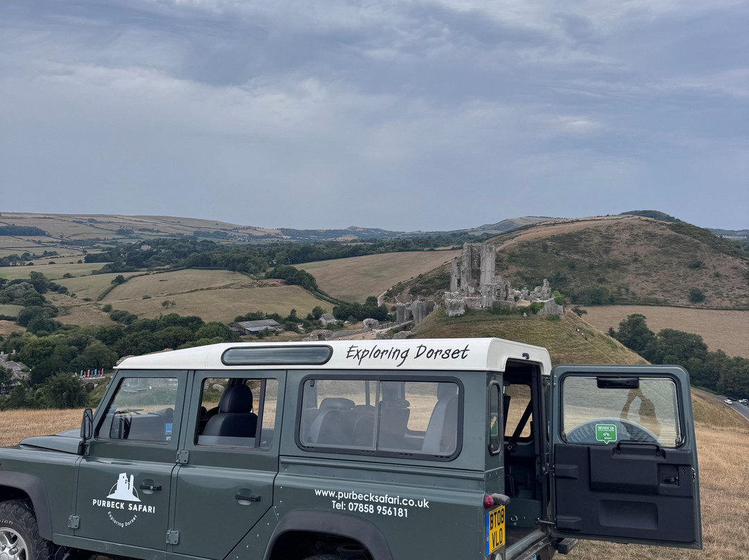 Purbeck Safari-韦勒姆必去景点