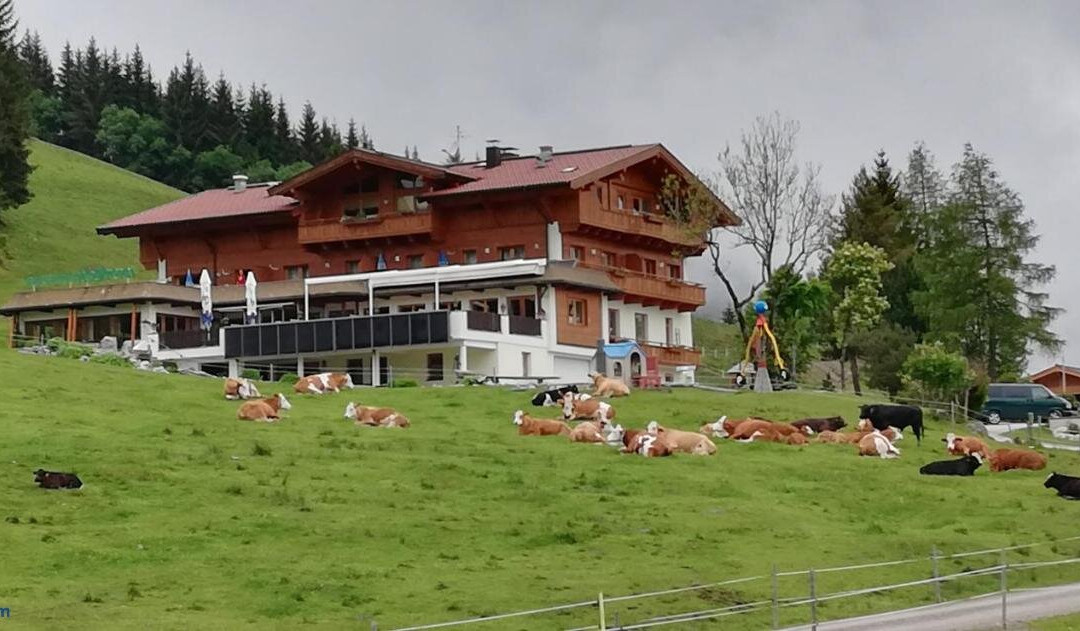 伯格豪斯科格尔姆斯旅馆