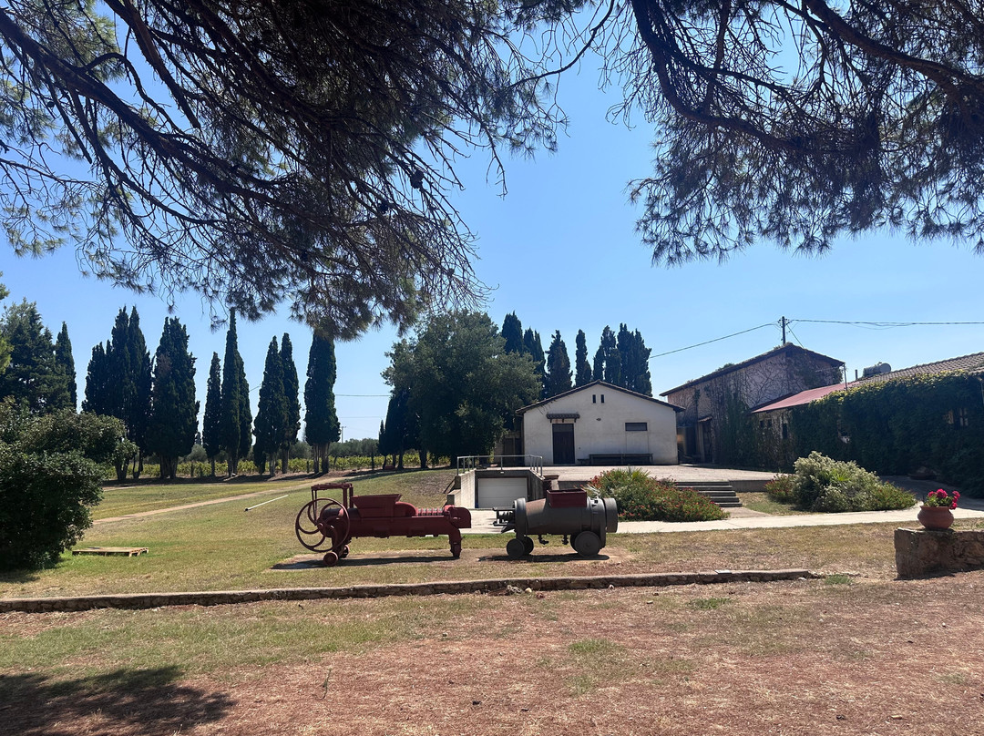 Mercouri Estate-Pyrgos必去景点