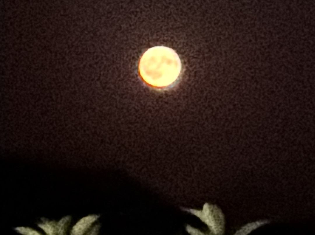 Le Relais de la Vignasse主图