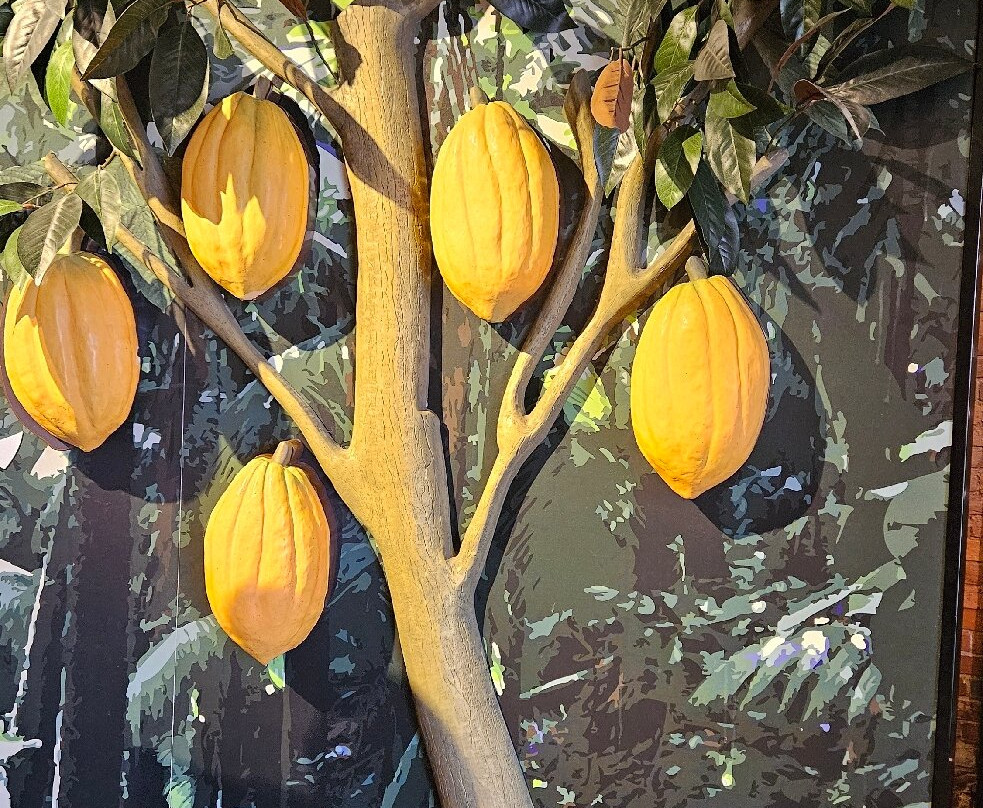 The Chocolate Museum-St. Stephen必去景点