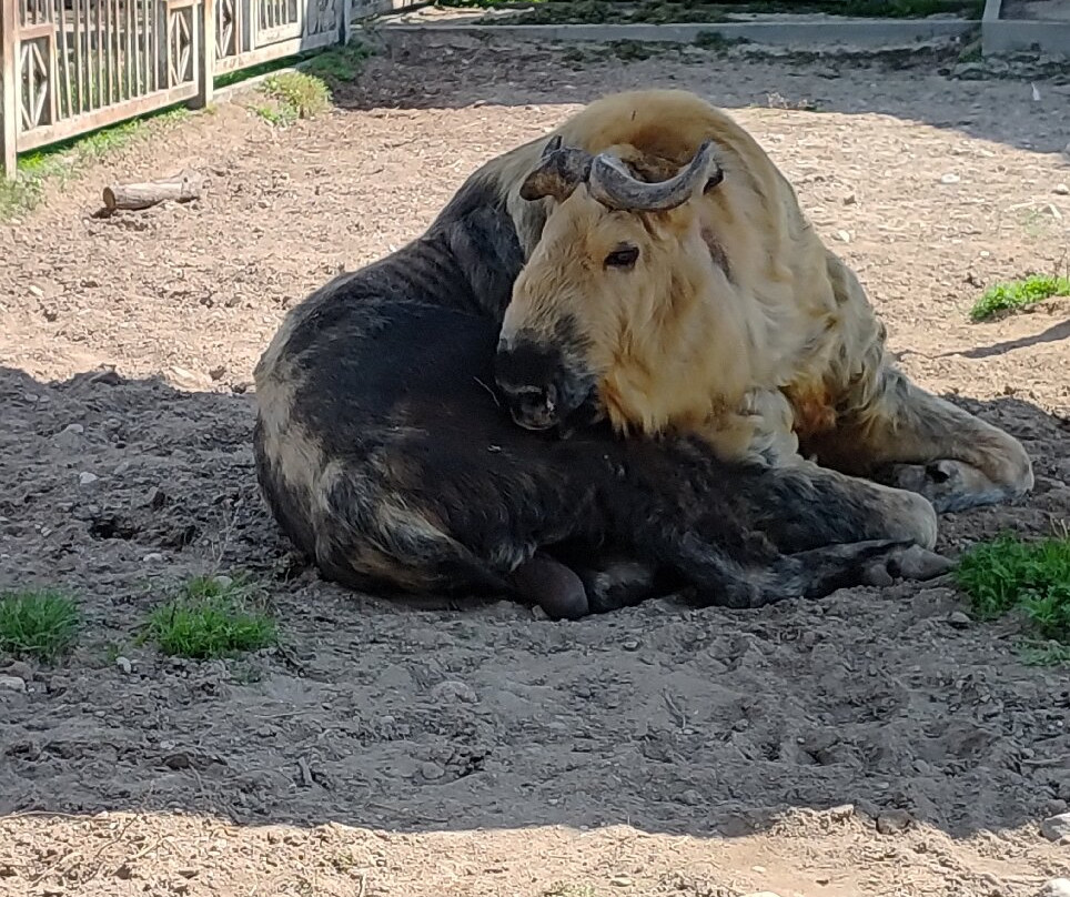 Grodno Zoo-格罗德诺必去景点