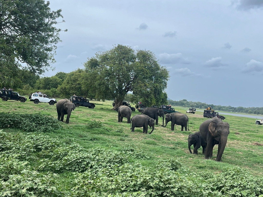 Lakshan jeep safari habarana-哈巴拉娜必去景点