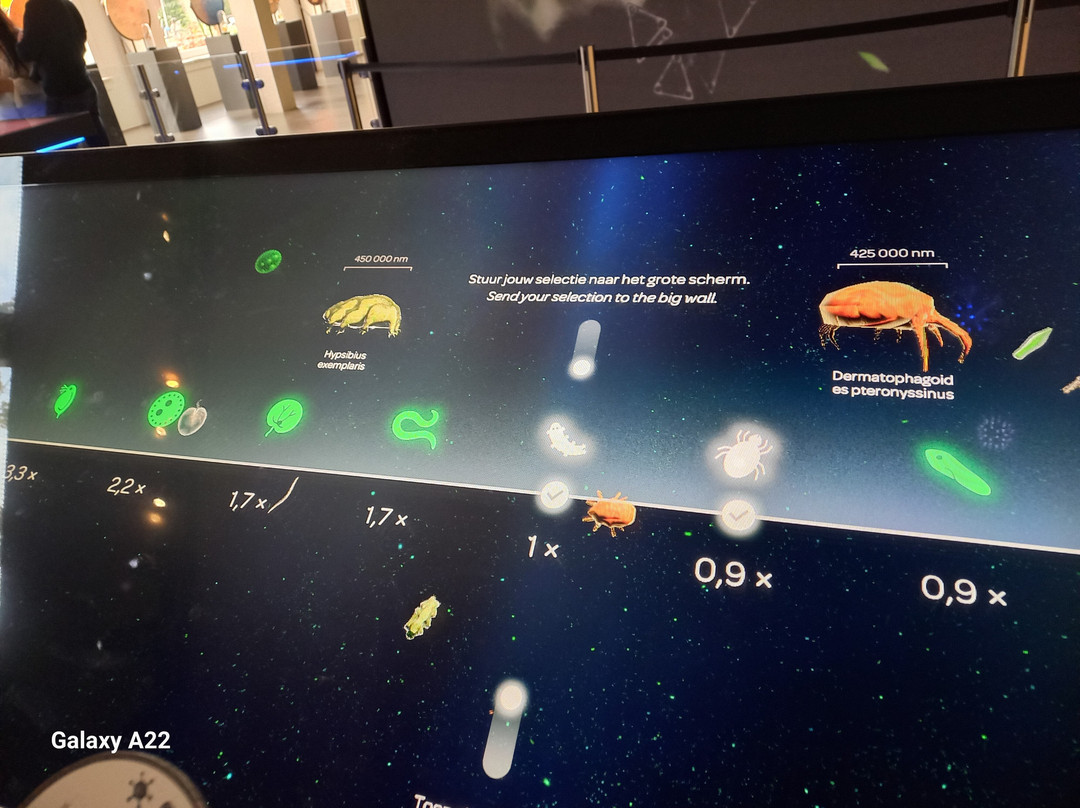 微生物博物馆-阿姆斯特丹必去景点