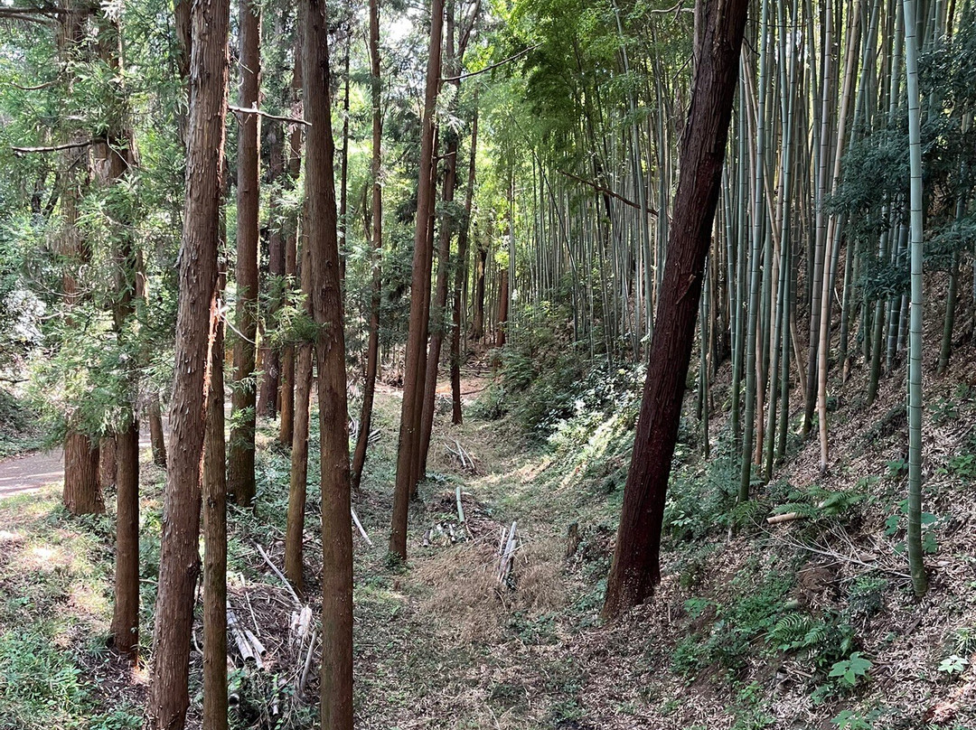 Takiyama Park, Takiyama Castle Remains-八王子市必去景点