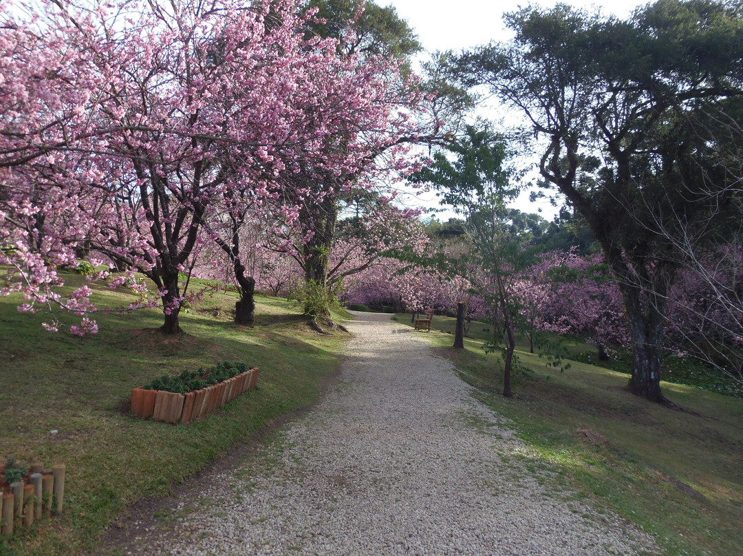 Parque das Cerejeira-坎普斯－杜若尔当必去景点