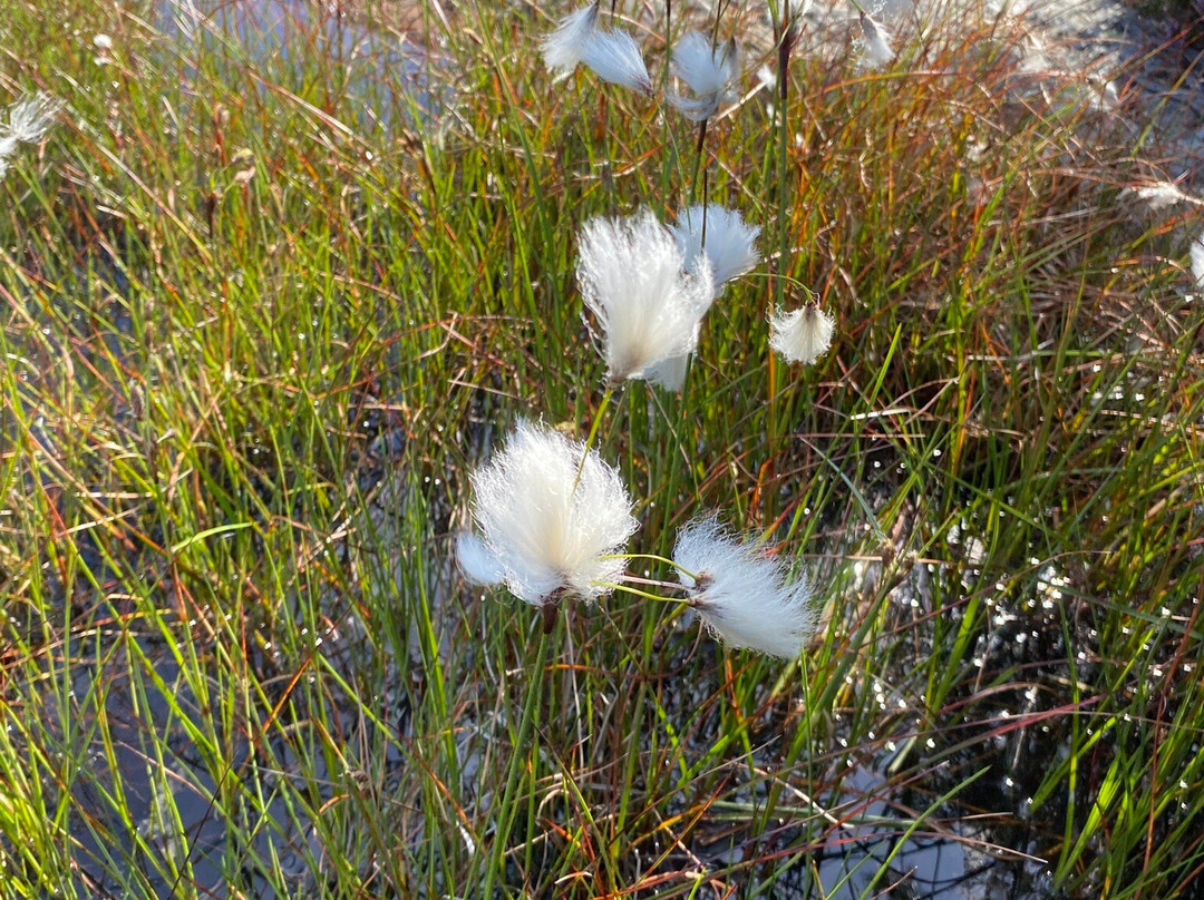 Lörudden-Njurunda必去景点