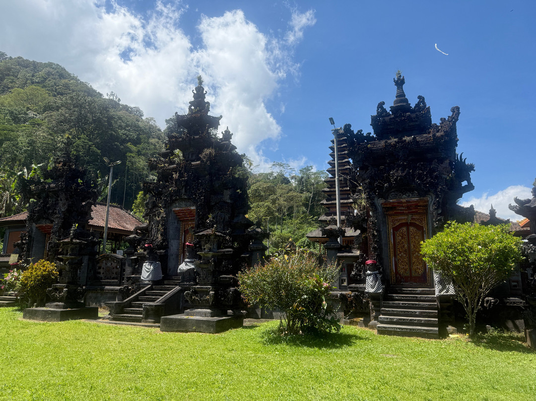 Pemuteran Transport Taxi-佩母德兰必去景点