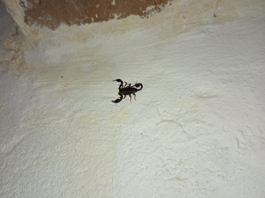 Introdacqua酒店住宿-Il Ciavattone Bed and Bike