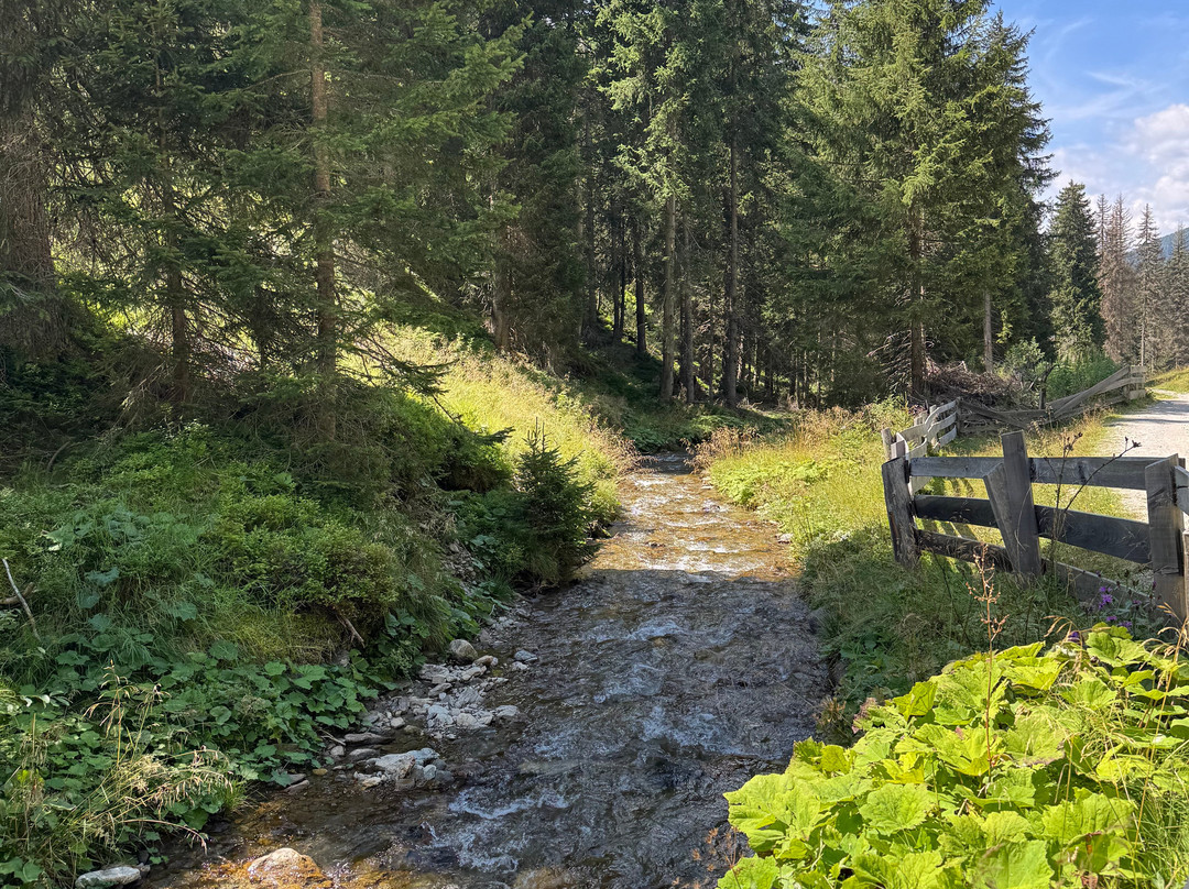 Escursione Estiva: Malga San Silvestro e Cappella di San Silvestro-多比亚科必去景点