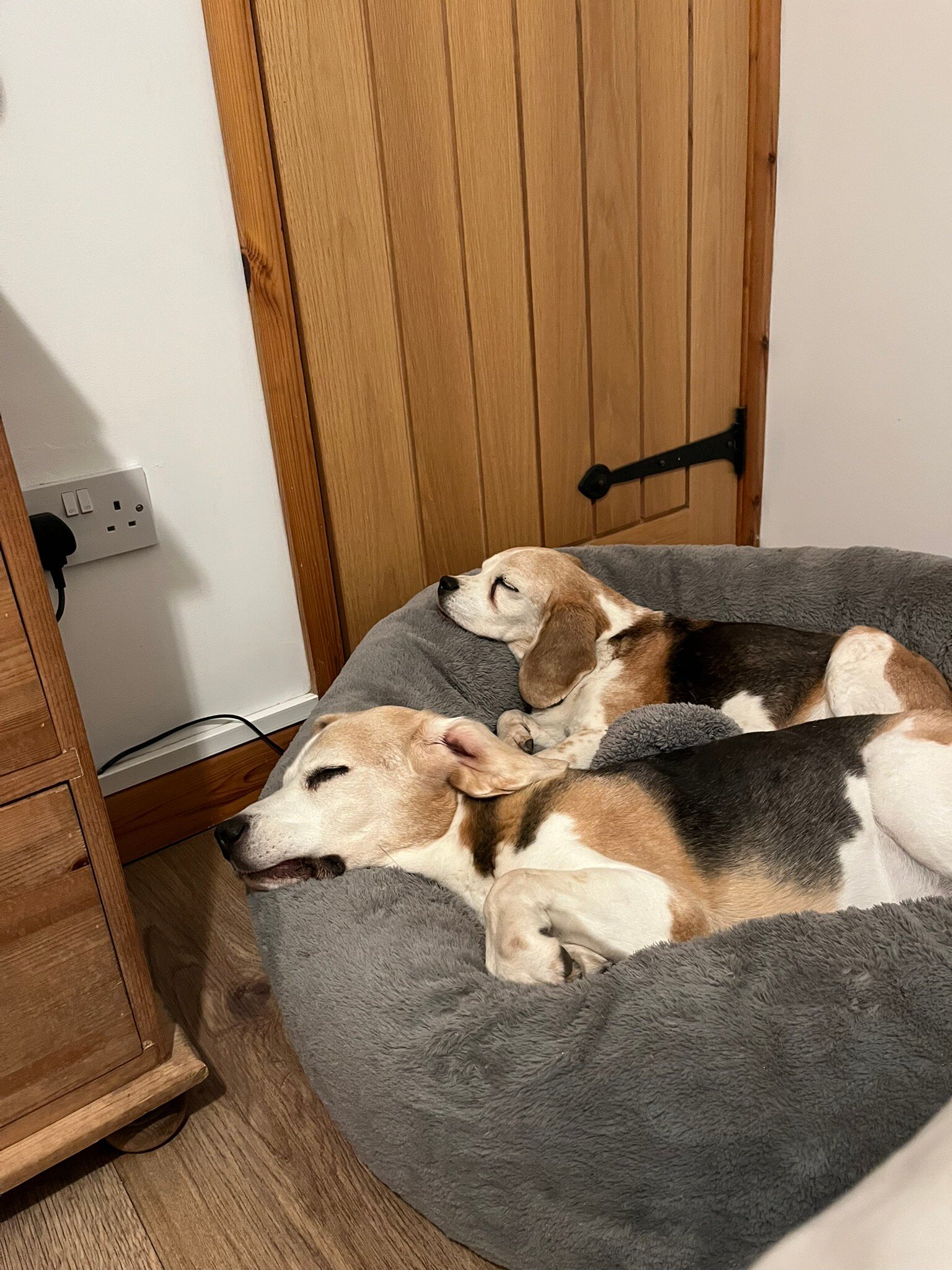 Beudy Bach Bed and Breakfast-官方