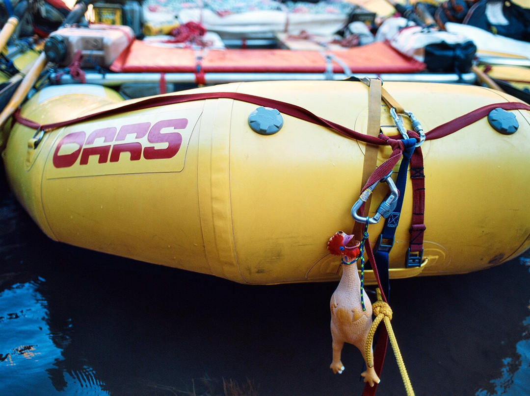 Oars Grand Canyon-弗拉格斯塔夫必去景点
