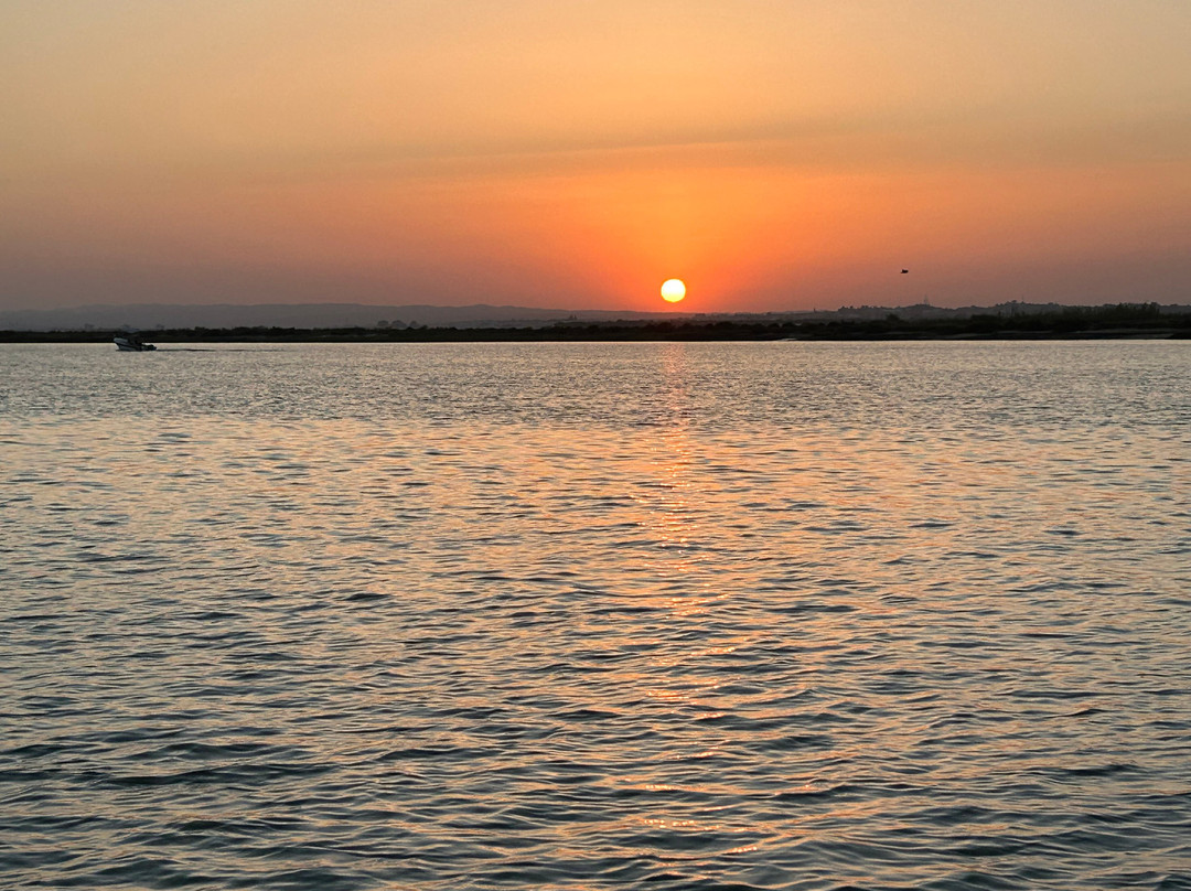 Paseos en barco ISLAVENTURA-Isla Cristina必去景点