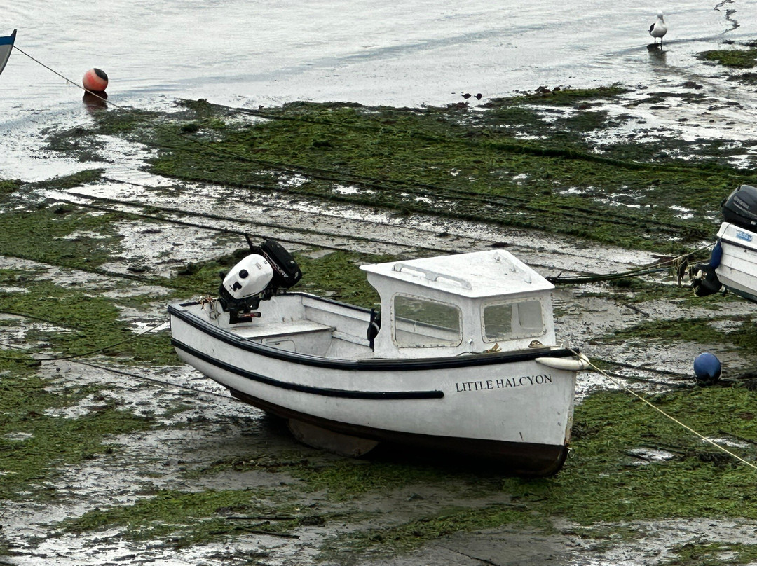 Mousehole Harbour-Mousehole必去景点