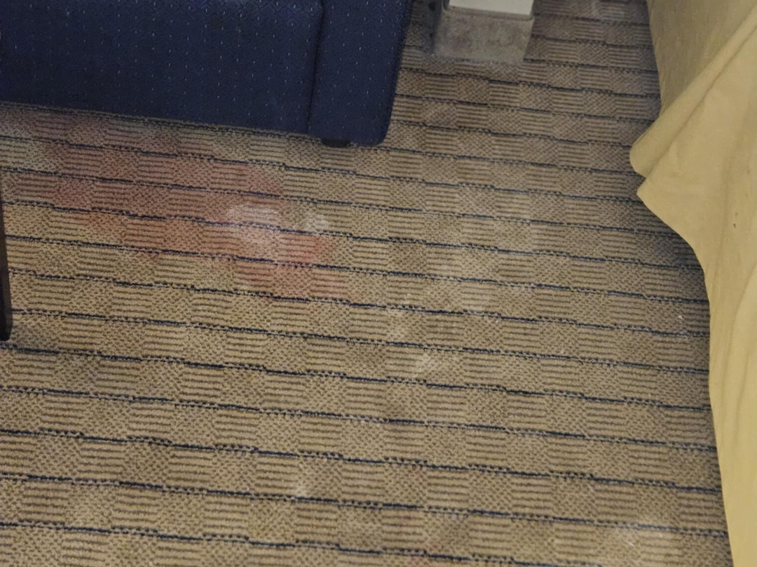 Holiday Inn Express Devils Lake By IHG主图