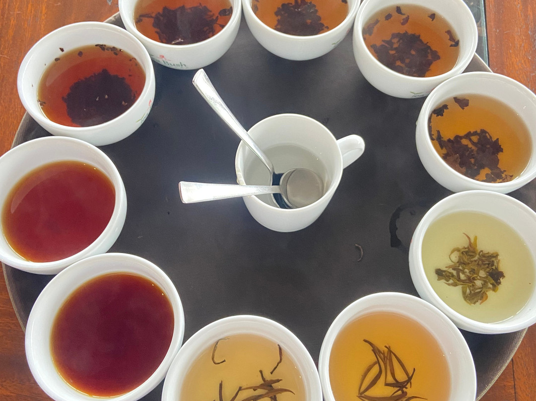 Glee Tours Lanka-Pannipitiya必去景点