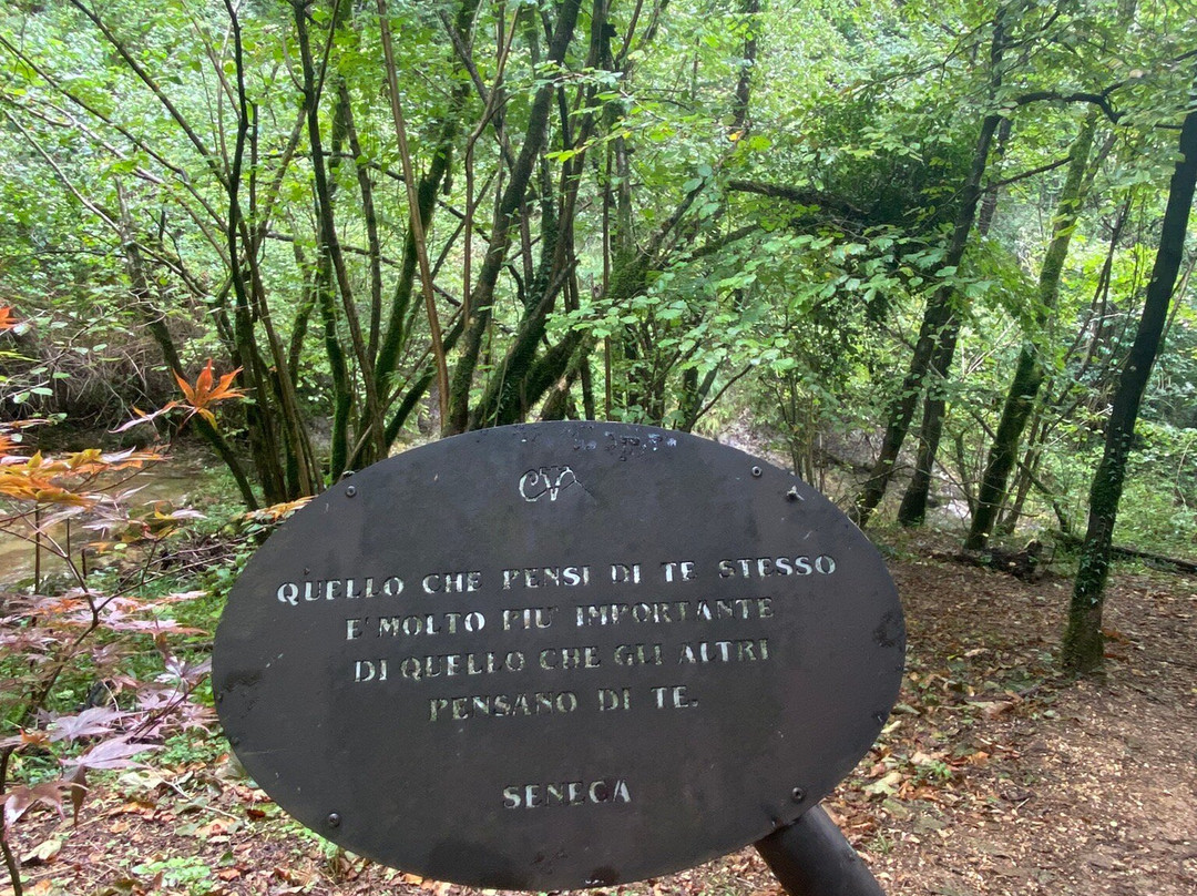 Cison di Valmarino-Cison Di Valmarino必去景点