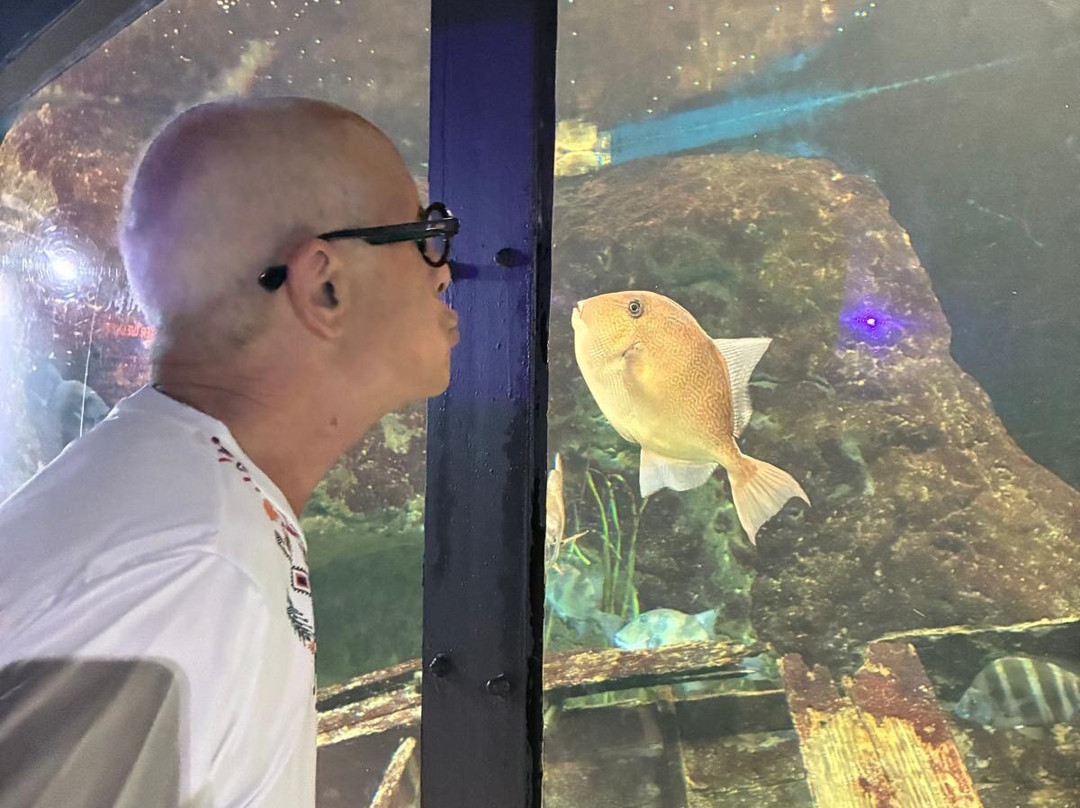 Acuario Do Grove-格罗韦必去景点