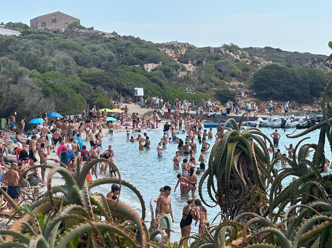 Isola di Santa Maria-拉马达莱娜必去景点