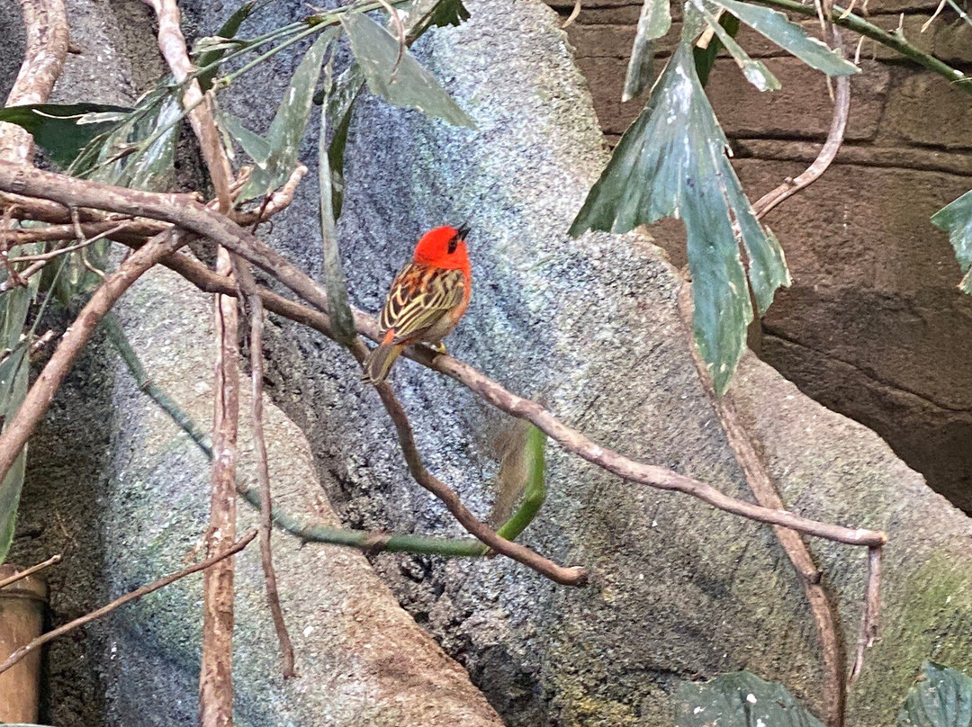 Zoo Karlsruhe-卡尔斯鲁厄必去景点