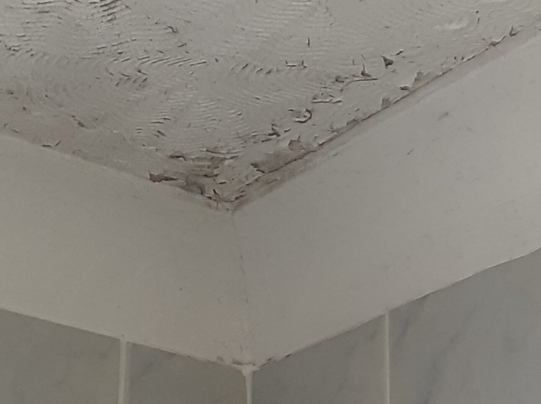 The Royal Bridlington主图