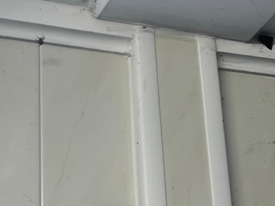 Osea Leisure Park-Maldon必去景点