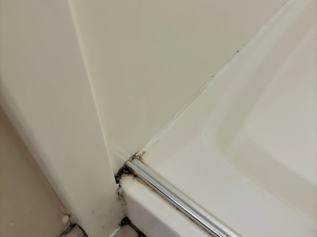 Comfort Suites Near Rainbow Springs主图