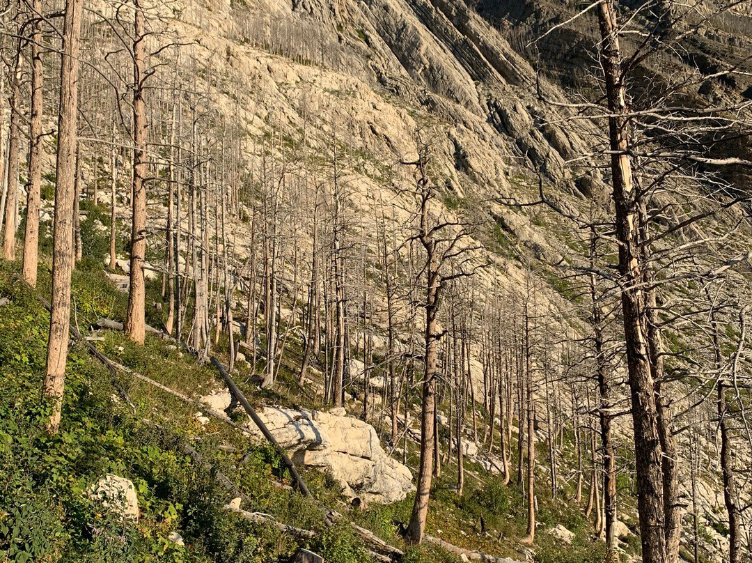 Bear's Hump-沃特顿湖国家公园必去景点