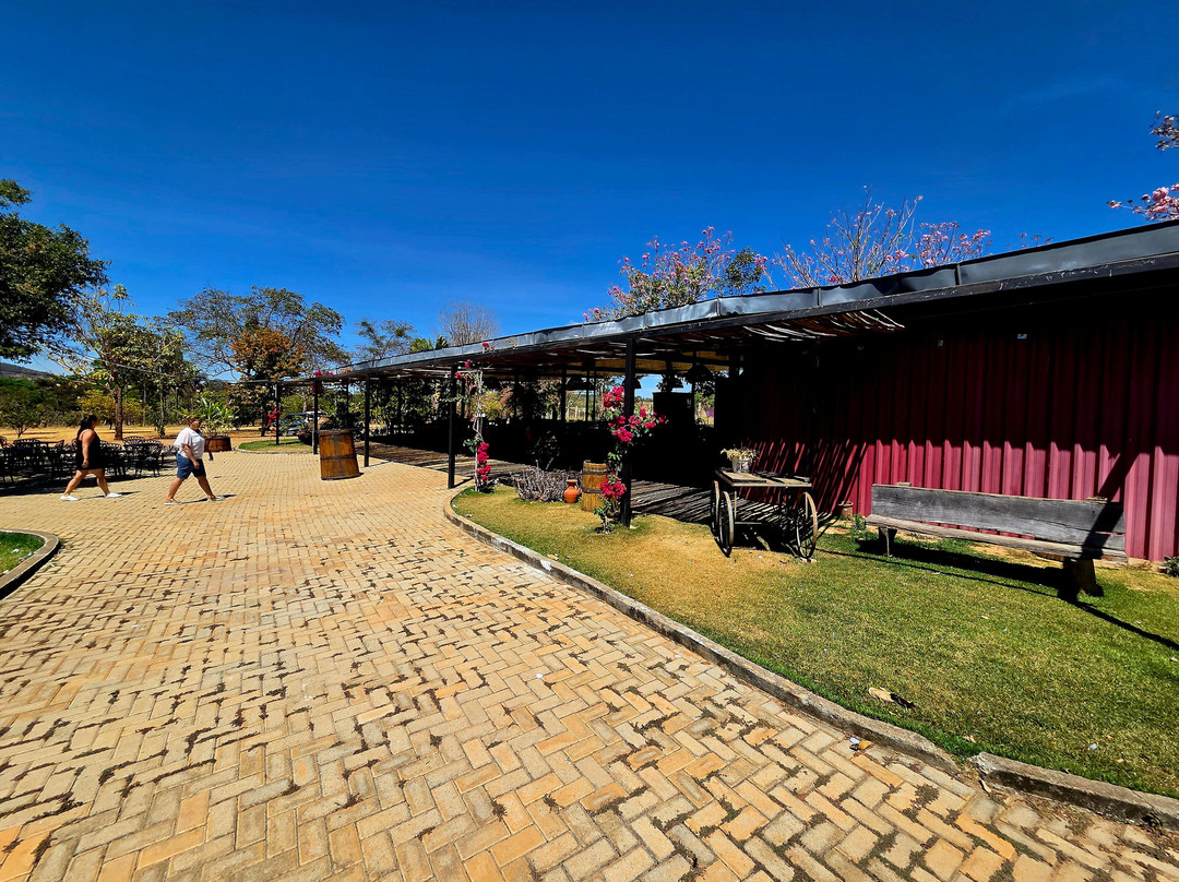 Vinícola Assunção