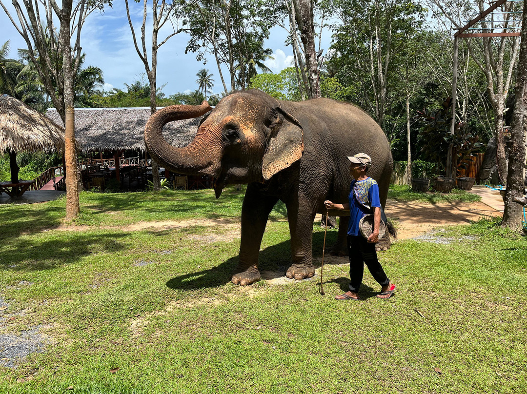 Koh Yao Elephant Care & House-Phru Nai必去景点