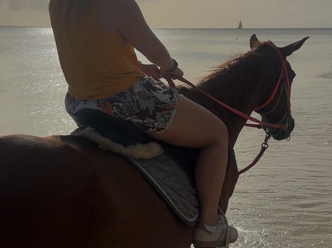 Five Gaits Equestrian Center-布里奇顿必去景点