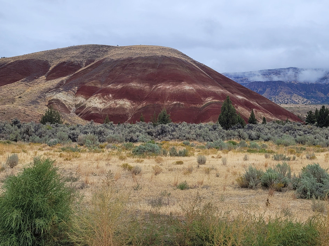 John Day Fossil Beds National Monument, Painted Hills Unit-Dayville必去景点