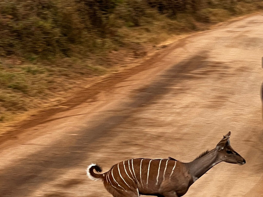 Keyron Vacation Ltd-蒙巴萨必去景点