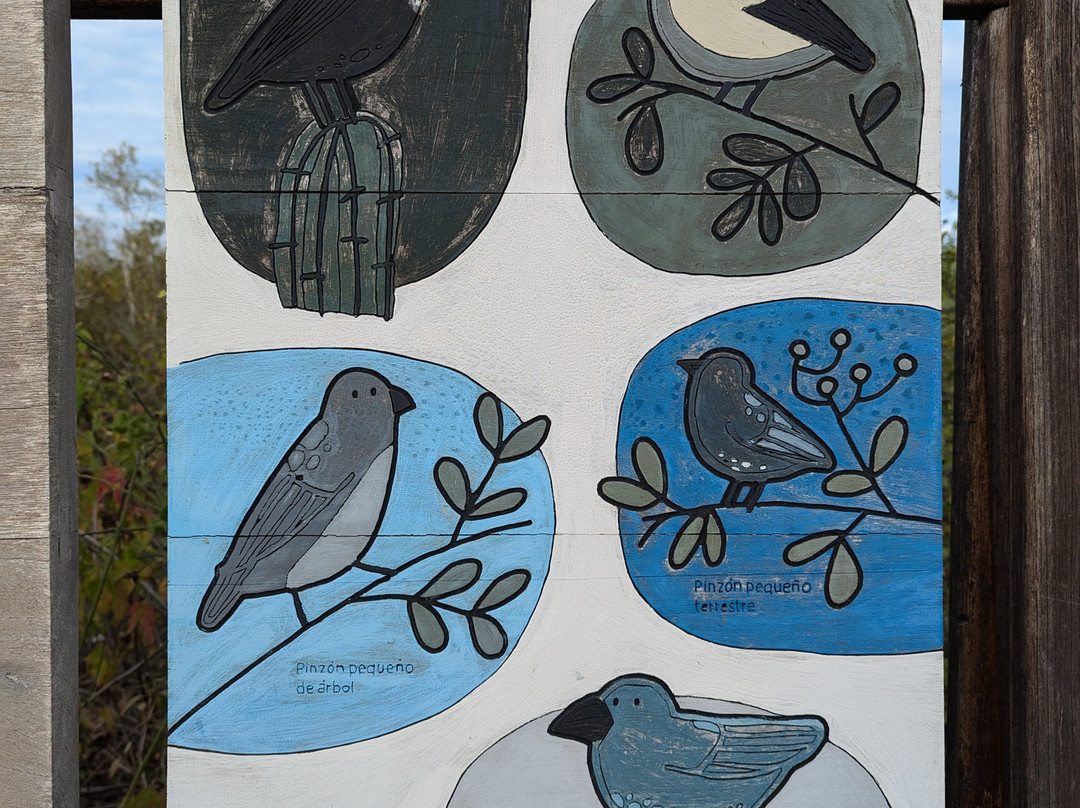 Puerto Chino Beach-圣克里斯托瓦尔必去景点