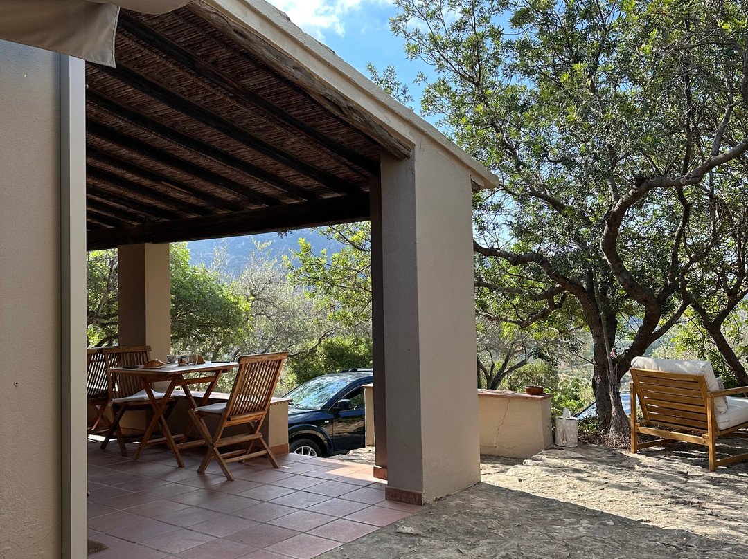 Sa Guardia de Ferricci主图