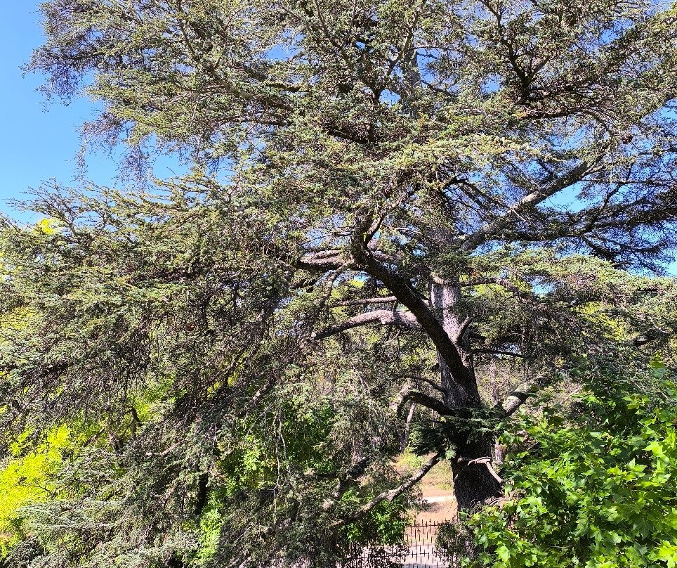 Soko Hotels - Pont du Gard主图