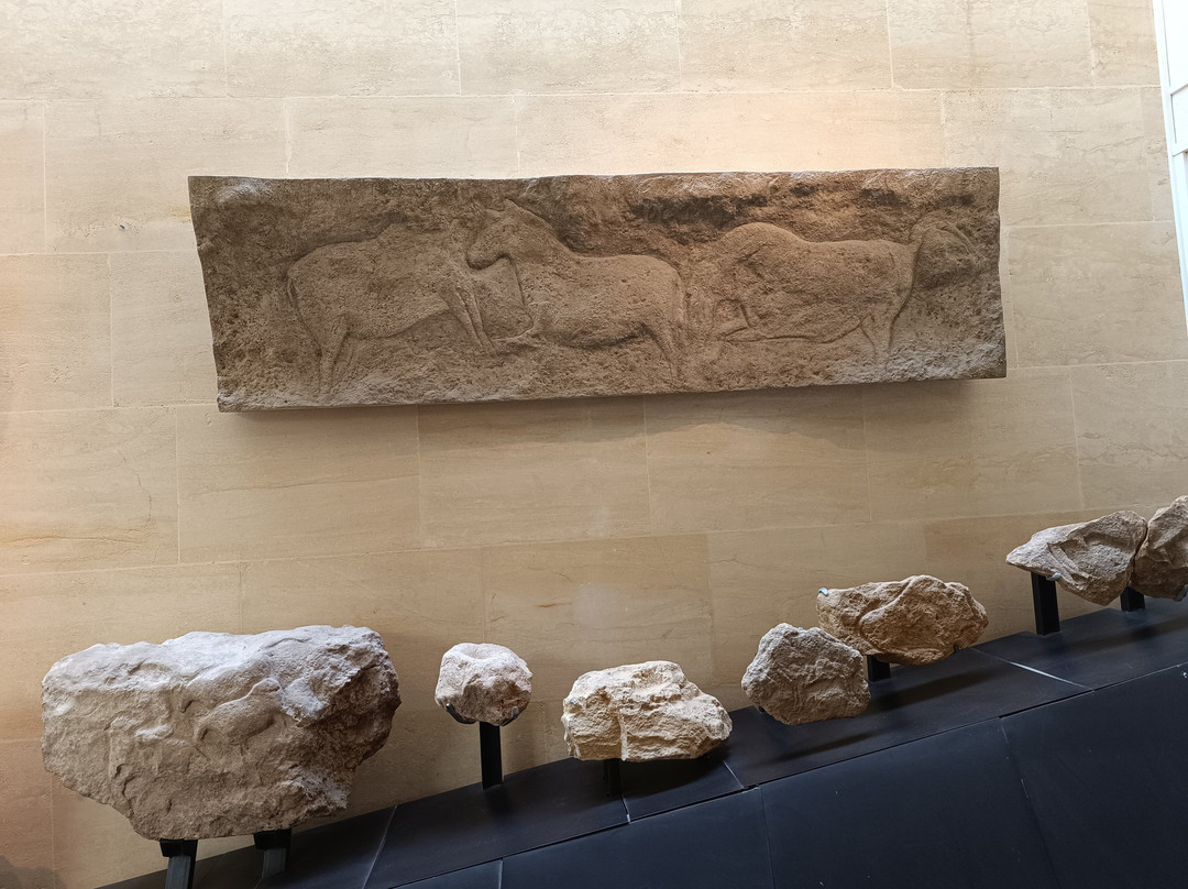 Musee National de Prehistoire-Les Eyzies-de-Tayac-Sireuil必去景点