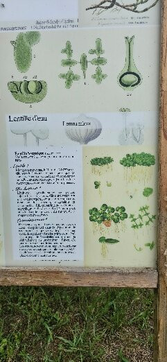 Alaije-Brantome en Perigord City必去景点