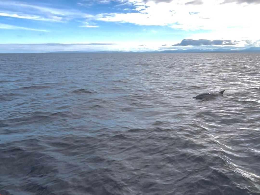 Hebridean Whale Cruises-盖尔洛赫必去景点