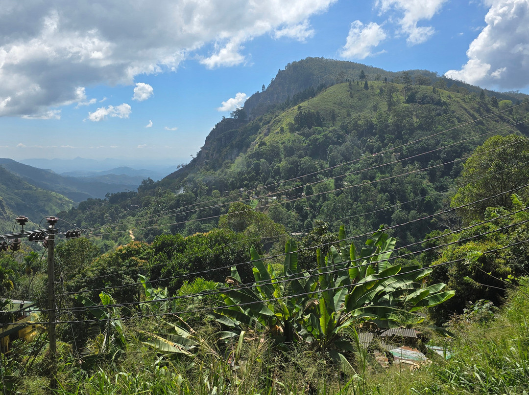 Tour Planners Lanka (Pvt) Ltd.-拉非尼亚山必去景点