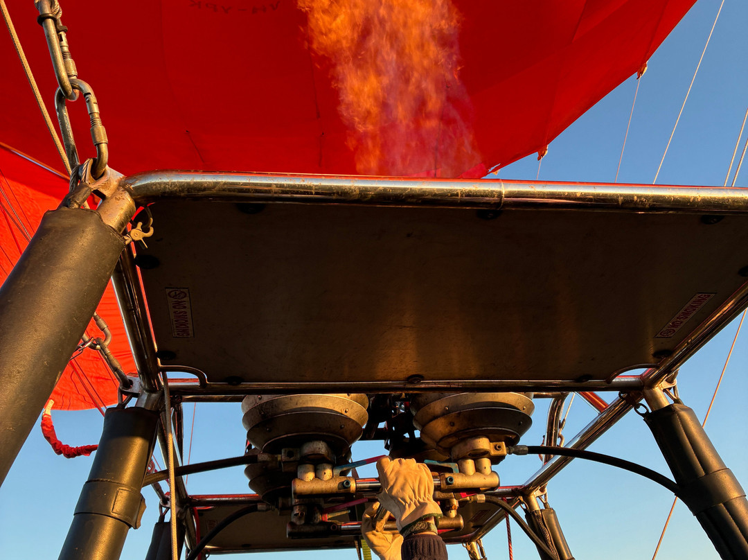 Barossa Valley Ballooning-Seppeltsfield必去景点