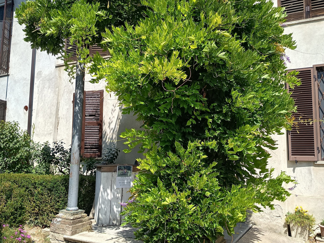 Cascina Zenevrea主图