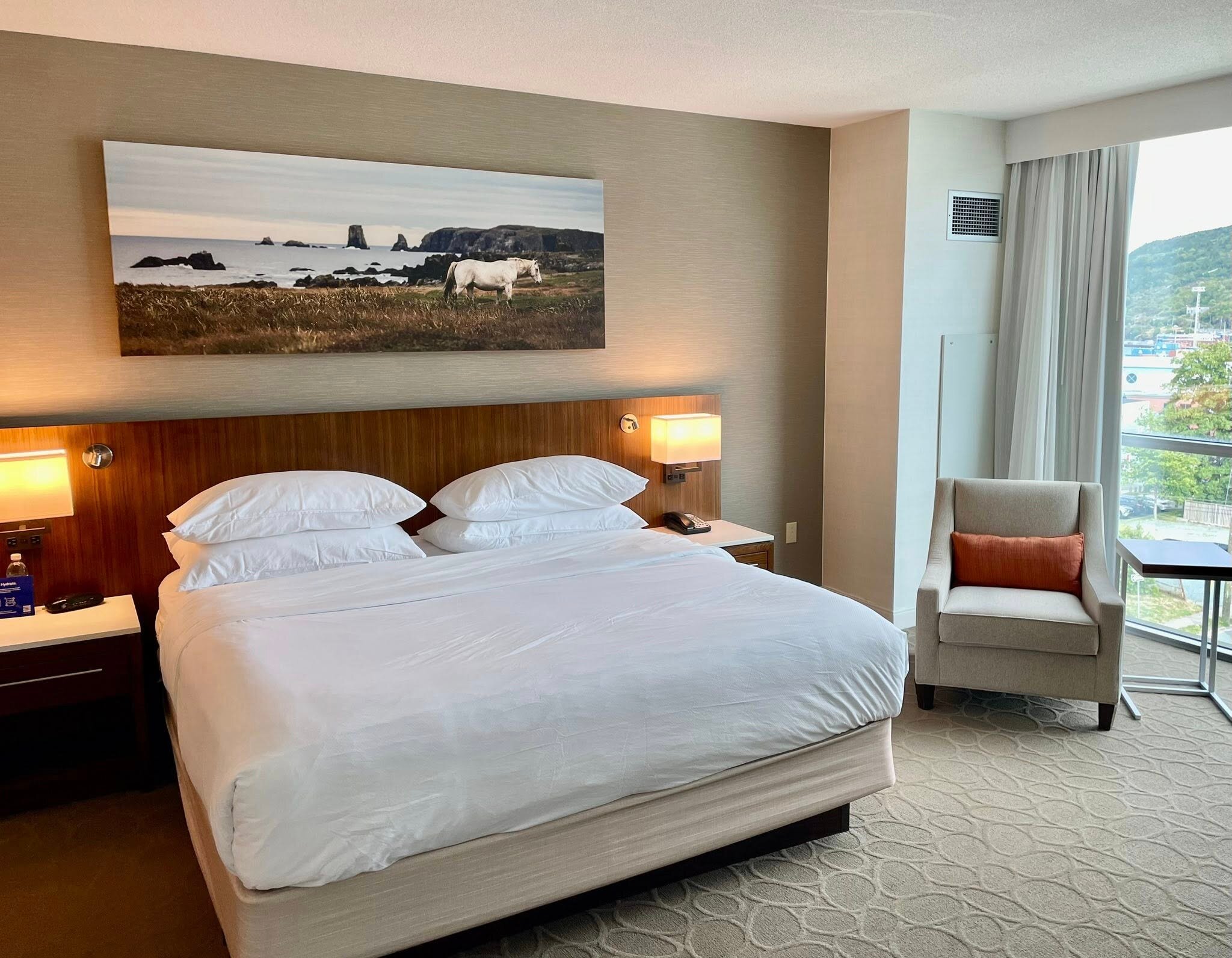 Delta Hotels St. John's Conference Centre-客卧